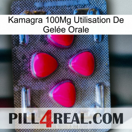 Kamagra 100Mg Utilisation De Gelée Orale 13